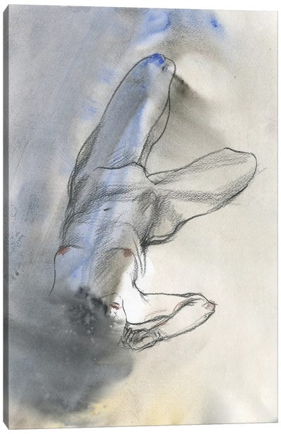 Harmony Unveiled Abstract Nude Canvas Art Print - Samira Yanushkova