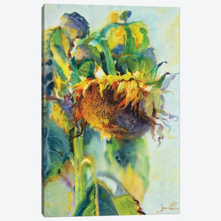 Sunflower Art Sunny Day Sunflowers Art Canvas Print #SYH58} by Samira Yanushkova Canvas Art Print