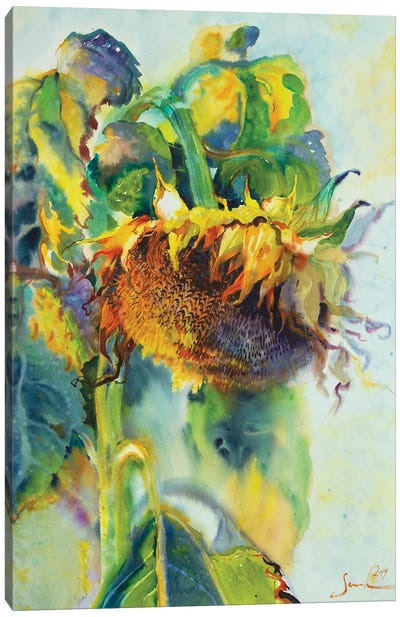 Sunflower Art Sunny Day Sunflowers Art Canvas Art Print - Intricate Watercolors