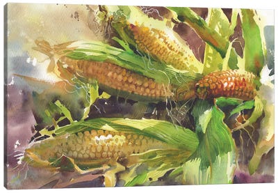 Corn In The Sun Canvas Art Print - Intricate Watercolors