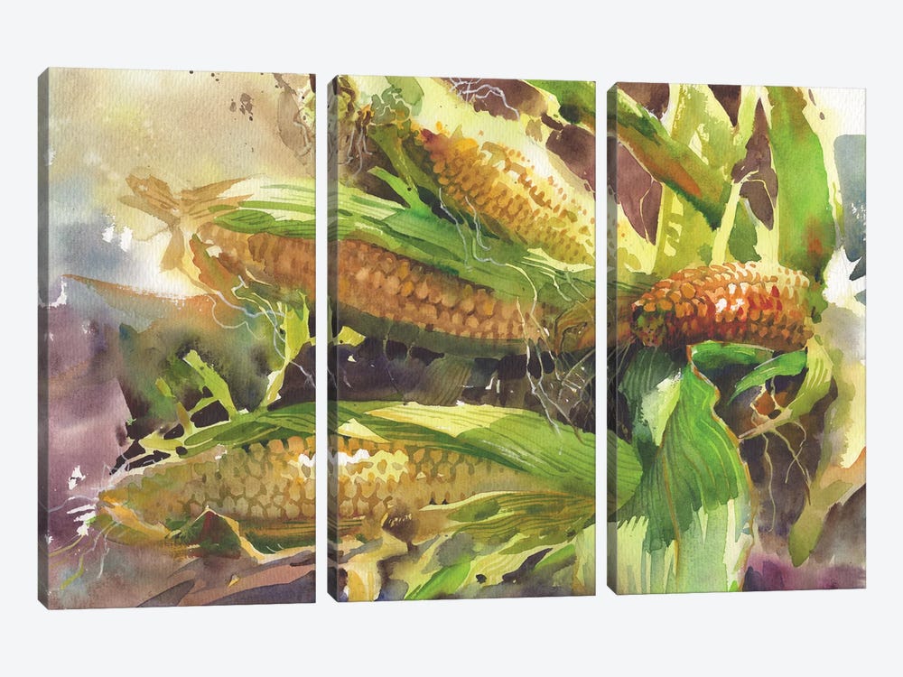 Corn In The Sun by Samira Yanushkova 3-piece Canvas Art Print