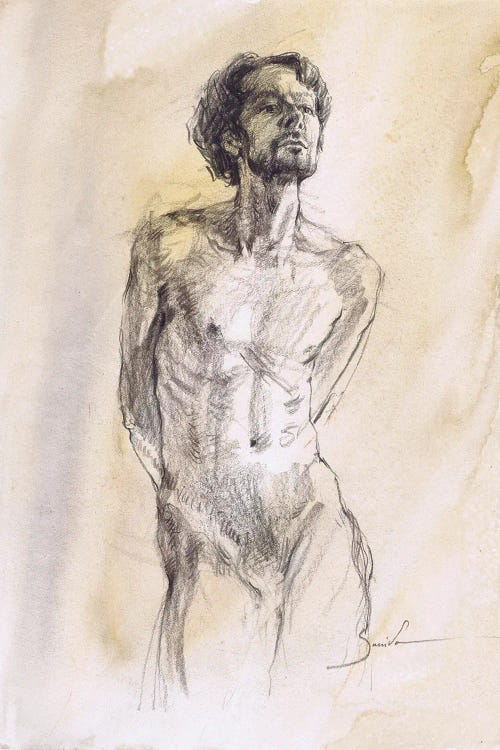 Evocative Male Form Studies