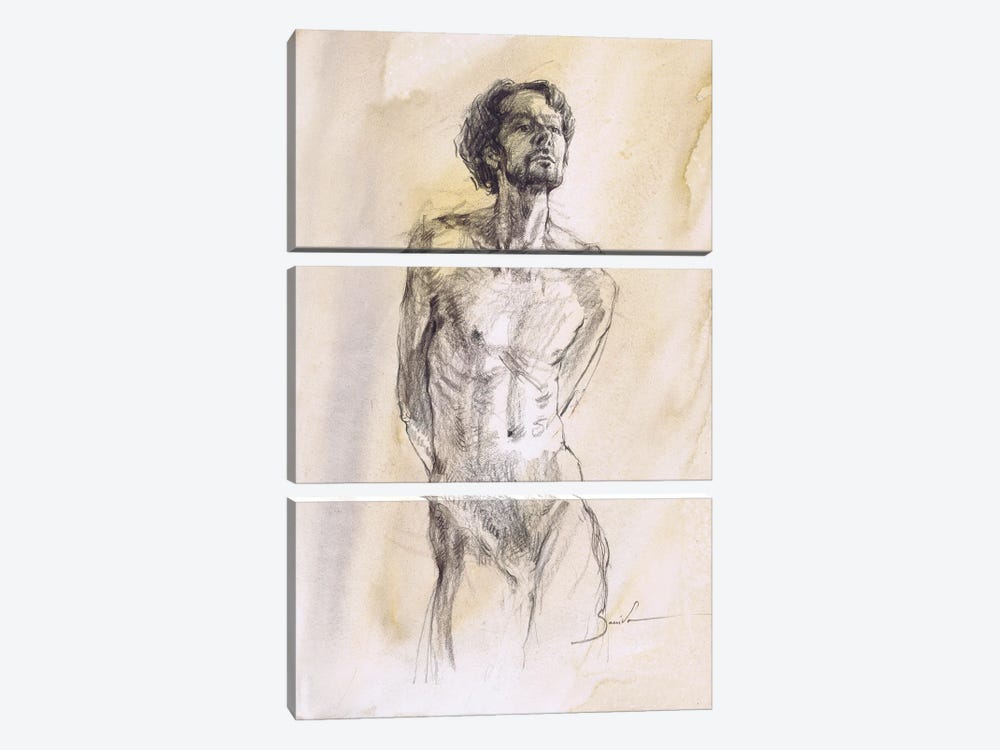 Evocative Male Form Studies by Samira Yanushkova 3-piece Canvas Art Print
