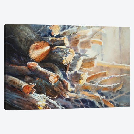 Firewood In The Sun Canvas Print #SYH70} by Samira Yanushkova Canvas Print