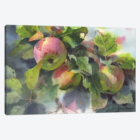 Branch With Apples Canvas Print #SYH7} by Samira Yanushkova Canvas Artwork
