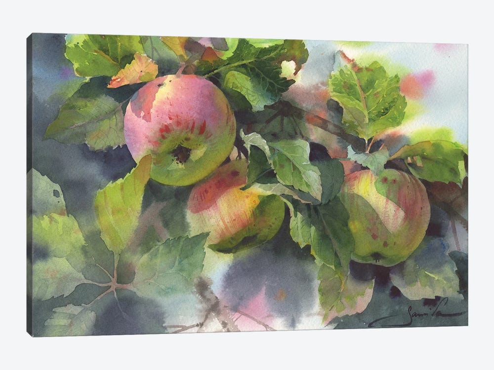 Branch With Apples by Samira Yanushkova 1-piece Art Print