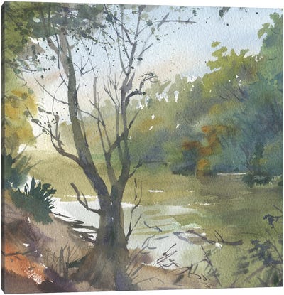 Tranquil River Reflections Canvas Art Print - Green Art