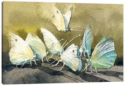 Dance Of Flowers And Wings Canvas Art Print - Samira Yanushkova