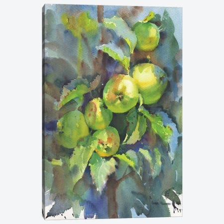 Nature. Branch With Apples Canvas Print #SYH92} by Samira Yanushkova Canvas Art Print