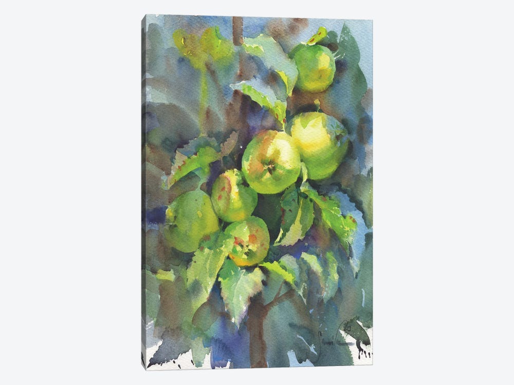 Nature. Branch With Apples by Samira Yanushkova 1-piece Canvas Print