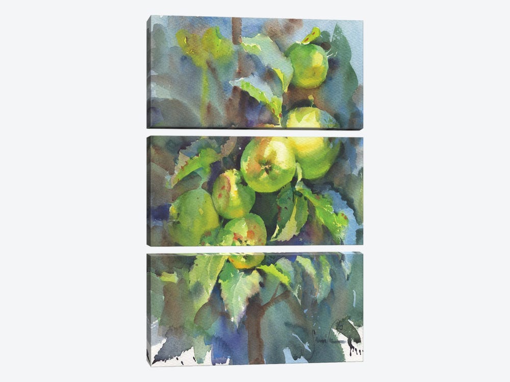 Nature. Branch With Apples by Samira Yanushkova 3-piece Canvas Print