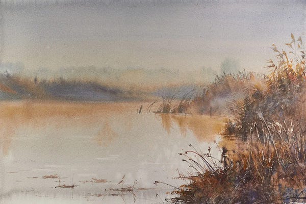 Subtle Landscapes: Mist. Relaxation by Samira Yanushkova