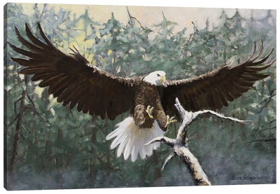 Safe Landing Canvas Art Print - Eagle Art