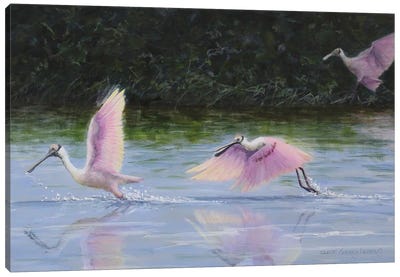 Water Ballet Canvas Art Print - Seerey-Lester