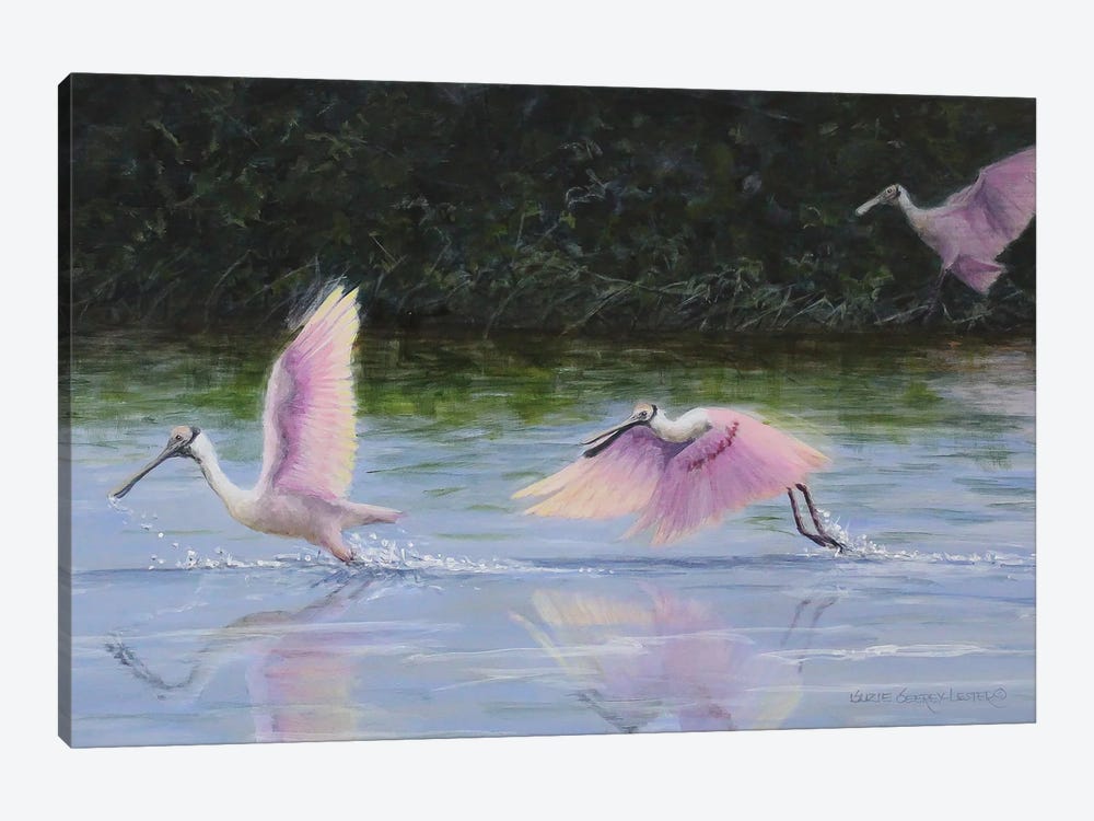Water Ballet by Suzie Seerey-Lester 1-piece Canvas Print
