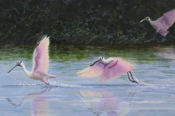 Water Ballet