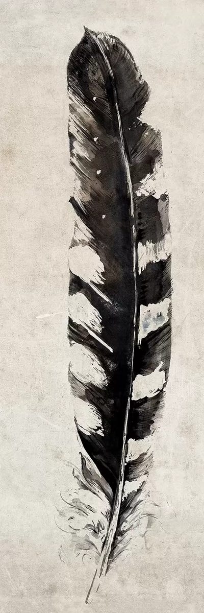 Feather by Symposium Design canvas print