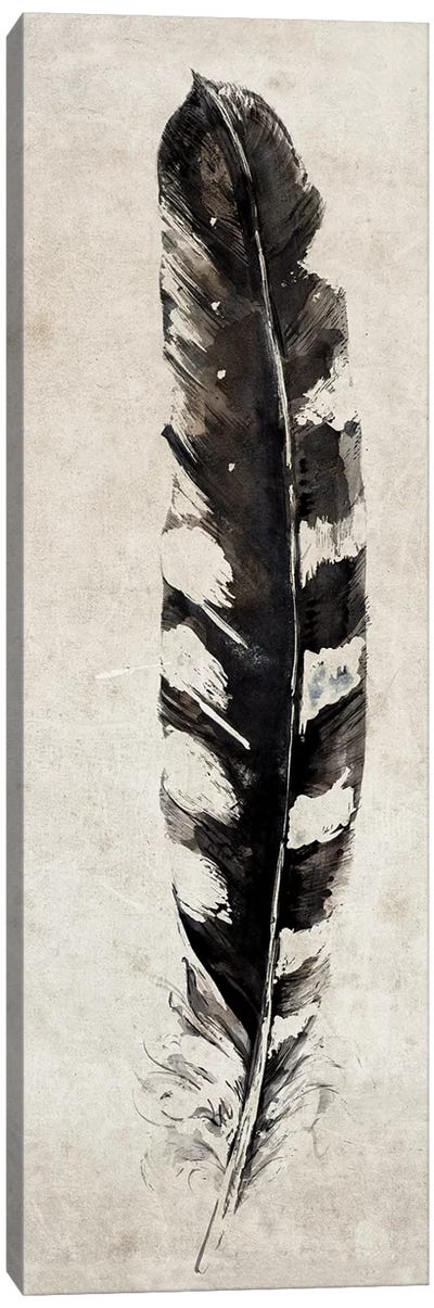 Feather Canvas Art Print - Symposium Design