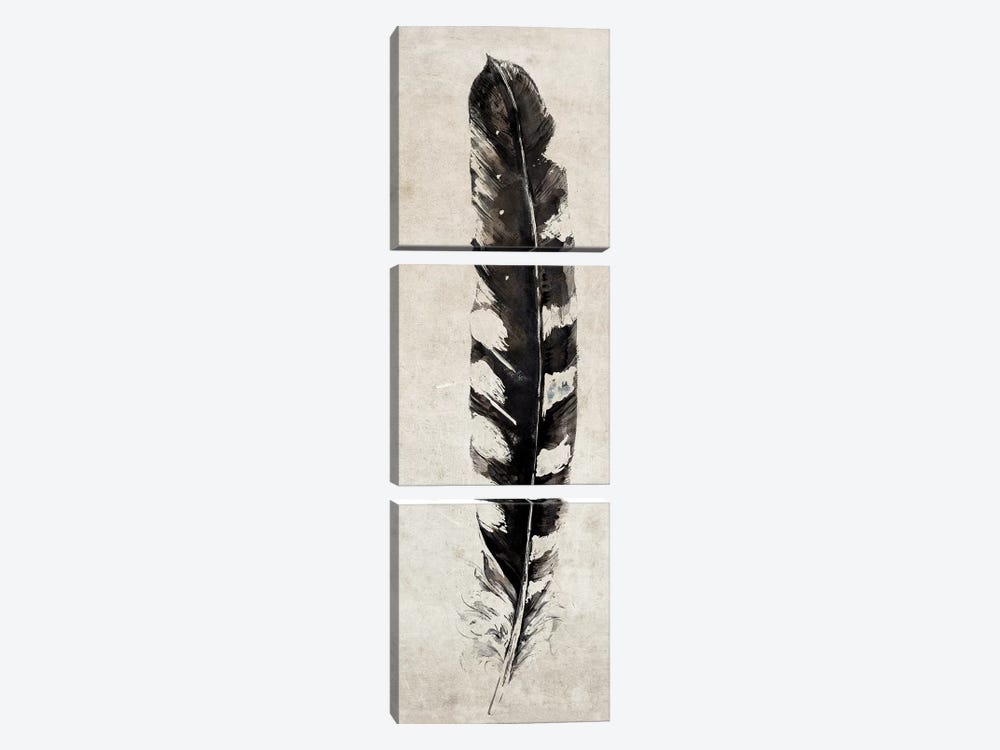 Feather by Symposium Design 3-piece Canvas Artwork