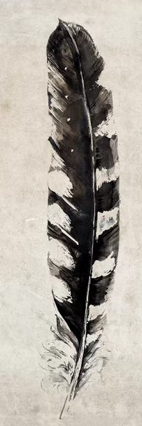 Feathers: Feather by Symposium Design