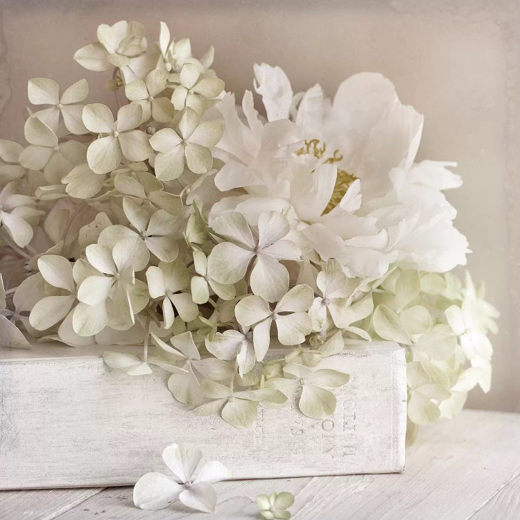 White Flower Book by Symposium Design wall art