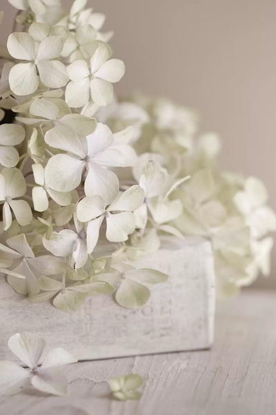 White Flowers by Symposium Design framed wall art