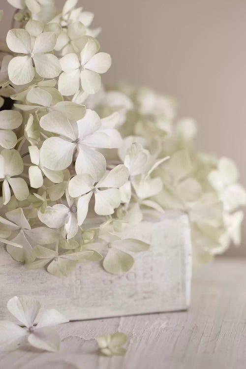 White Flowers by Symposium Design wall art