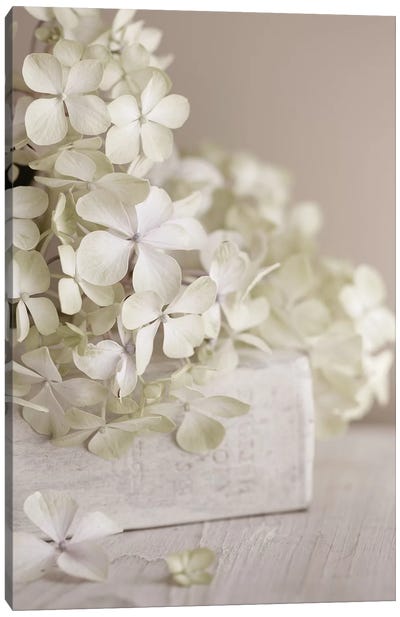 White Flowers Canvas Art Print - Symposium Design