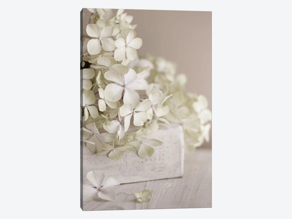 White Flowers by Symposium Design 1-piece Canvas Wall Art