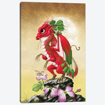 Radish Dragon Canvas Print #SYR101} by Stanley Morrison Canvas Art