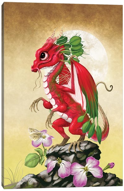 Radish Dragon Canvas Art Print - Stanley Morrison
