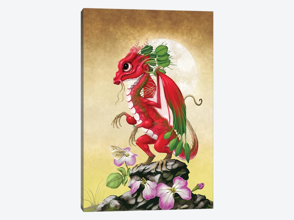 Radish Dragon by Stanley Morrison 1-piece Canvas Art Print