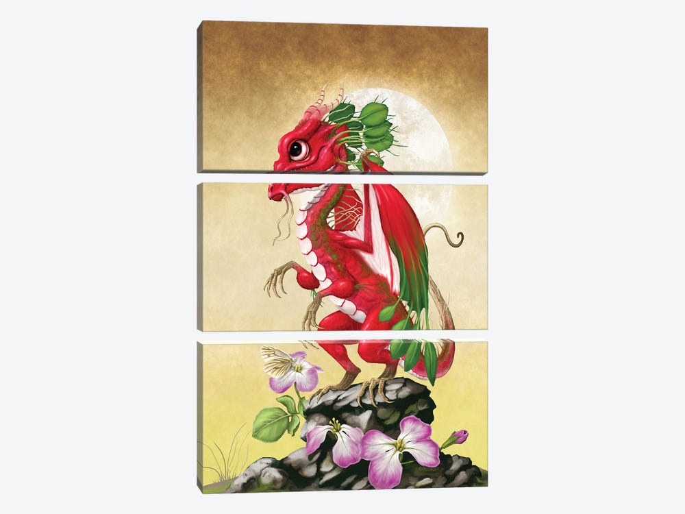Radish Dragon by Stanley Morrison 3-piece Canvas Art Print