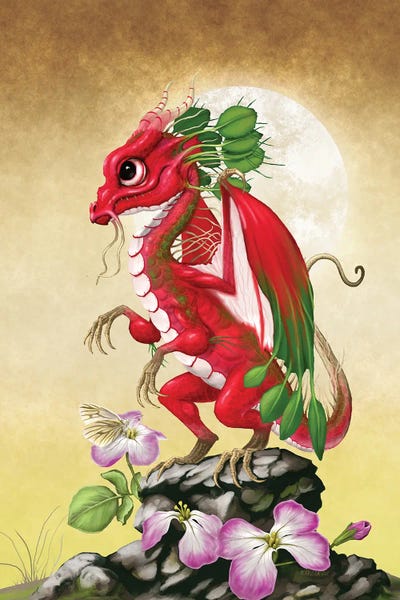 Dragons: Radish Dragon by Stanley Morrison