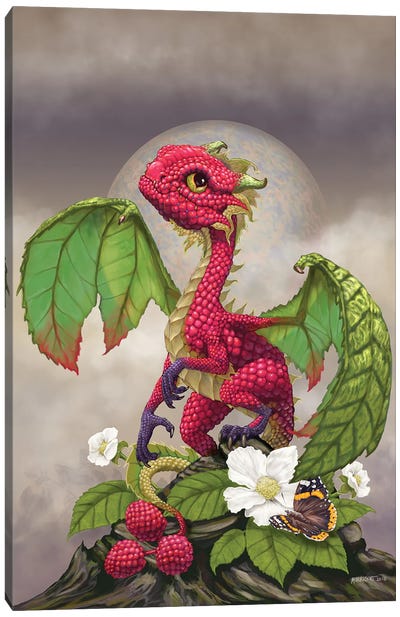 Raspberry Canvas Art Print - Friendly Mythical Creatures