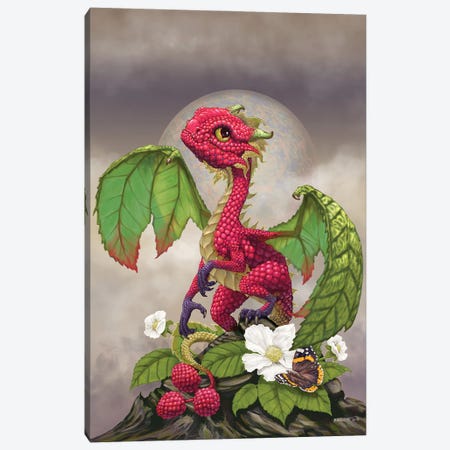 Raspberry Canvas Print #SYR102} by Stanley Morrison Canvas Art