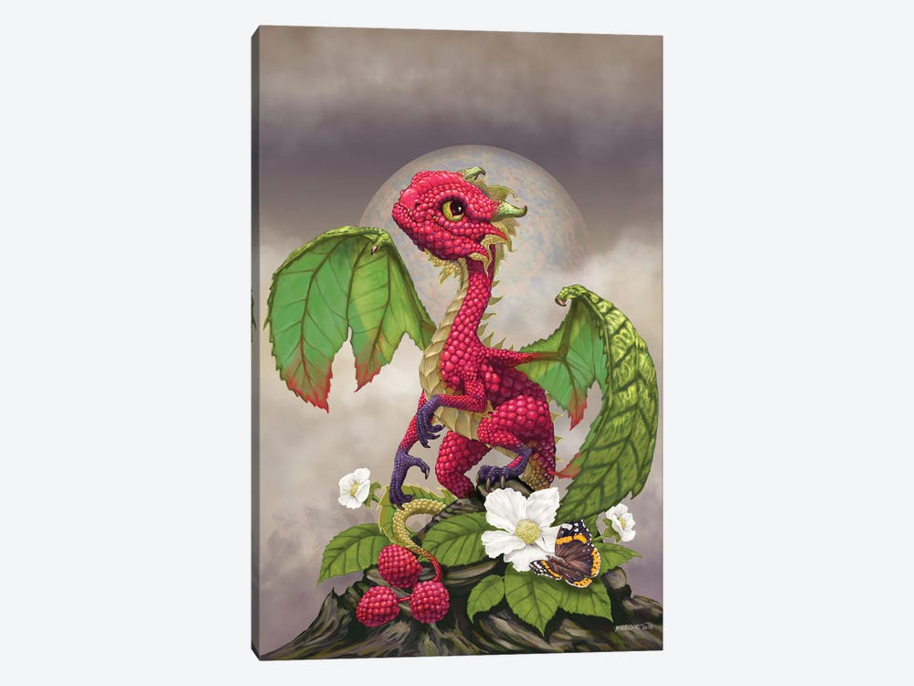 Raspberry by Stanley Morrison 1-piece Canvas Art