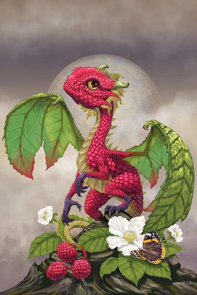 Dragons: Raspberry by Stanley Morrison