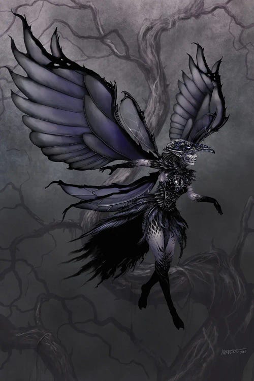 Raven Fairy