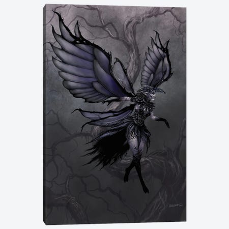 Raven Fairy Canvas Print #SYR103} by Stanley Morrison Canvas Wall Art