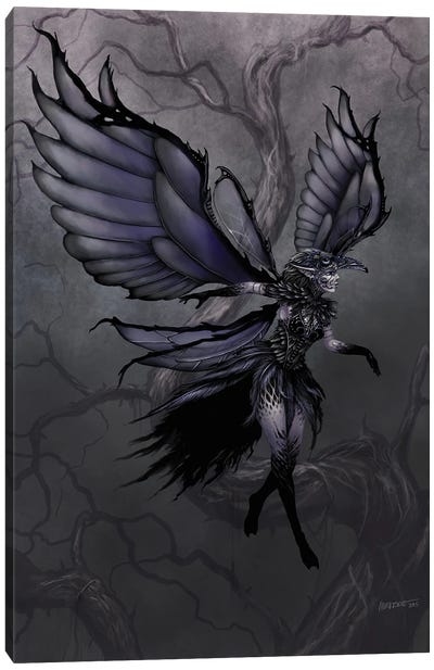 Raven Fairy Canvas Art Print - Raven Art