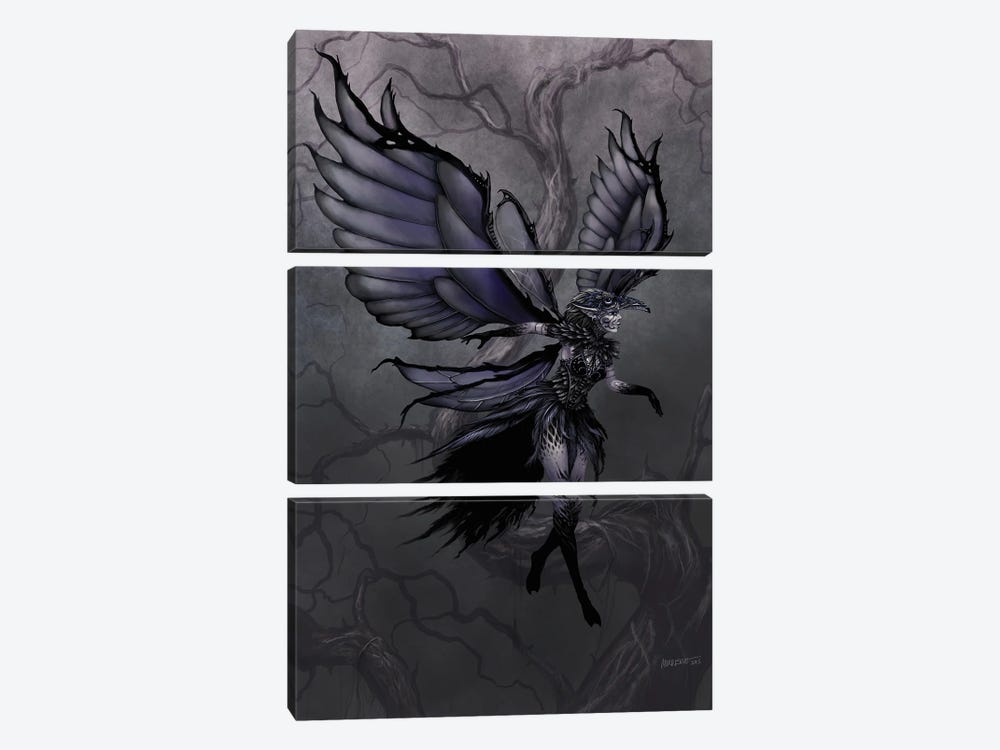 Raven Fairy by Stanley Morrison 3-piece Canvas Art Print