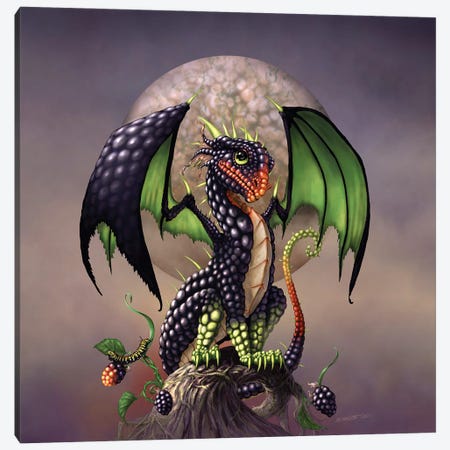 Blackberry Dragon Canvas Print #SYR10} by Stanley Morrison Art Print