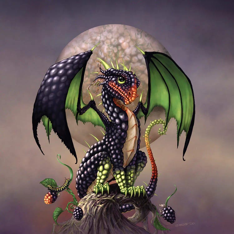 Blackberry Dragon by Stanley Morrison wall art