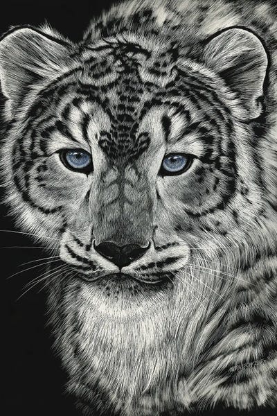 Leopards: Snow Dragon Leopard by Stanley Morrison
