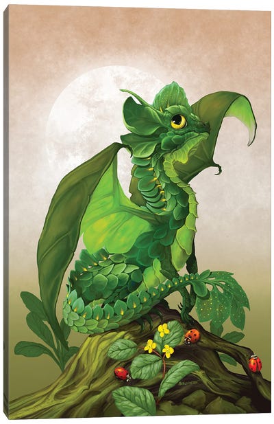 Spinach Dragon Canvas Art Print - Friendly Mythical Creatures