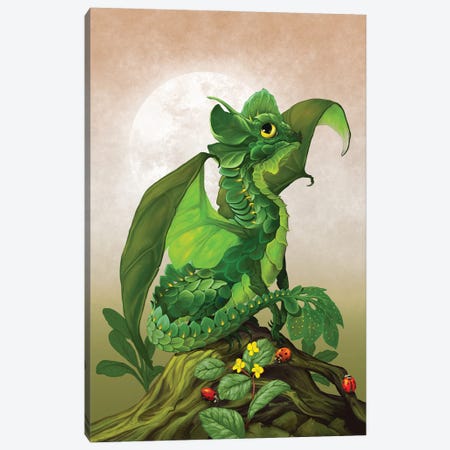 Spinach Dragon Canvas Print #SYR115} by Stanley Morrison Canvas Artwork
