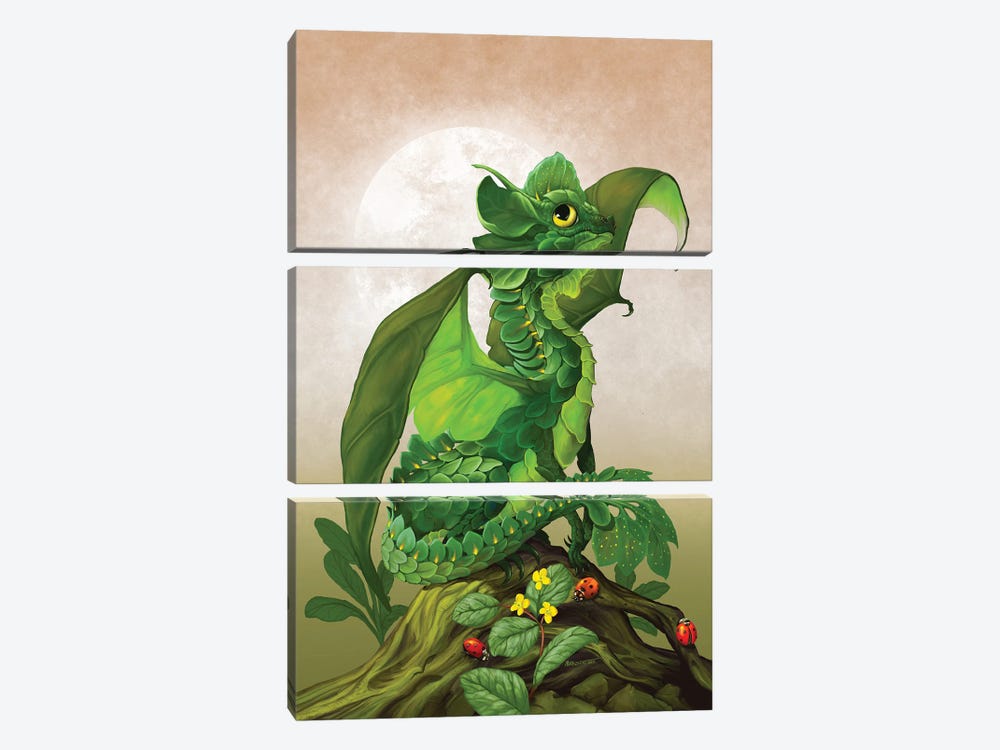 Spinach Dragon by Stanley Morrison 3-piece Canvas Artwork