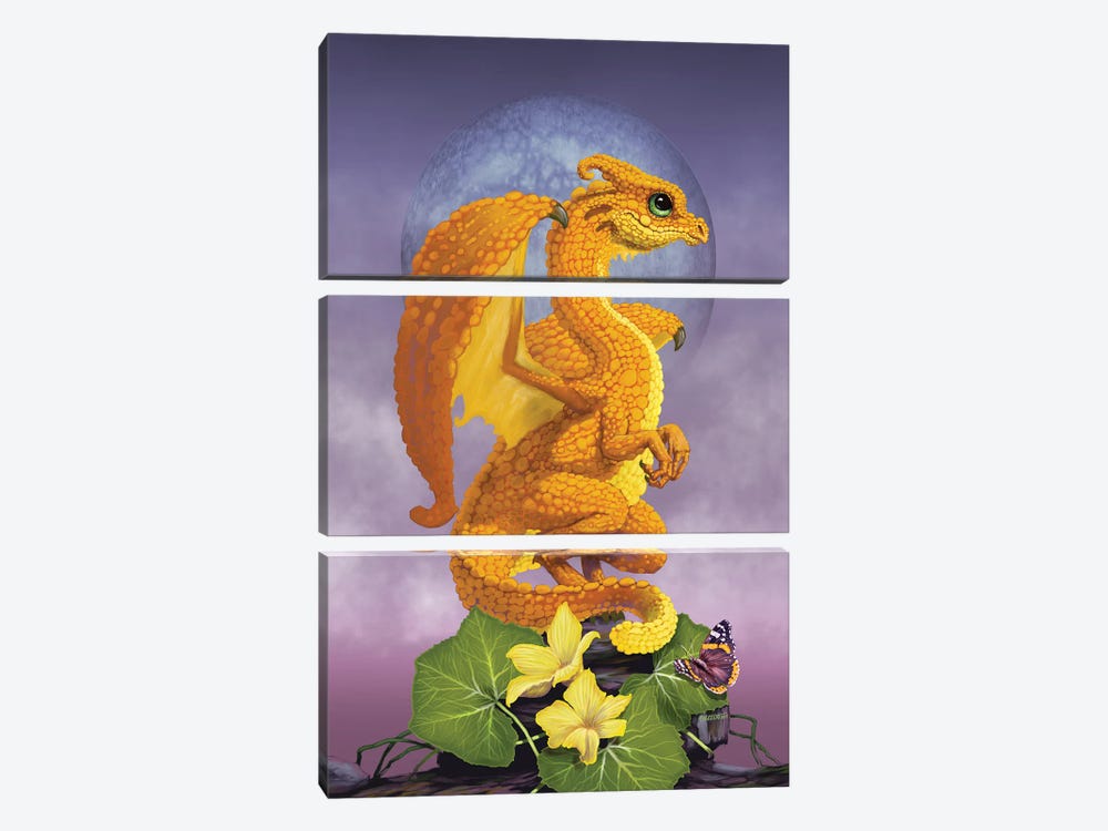 Squash Dragon by Stanley Morrison 3-piece Canvas Artwork