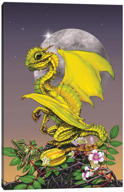 Star Fruit Dragon Canvas Art Print - Friendly Mythical Creatures